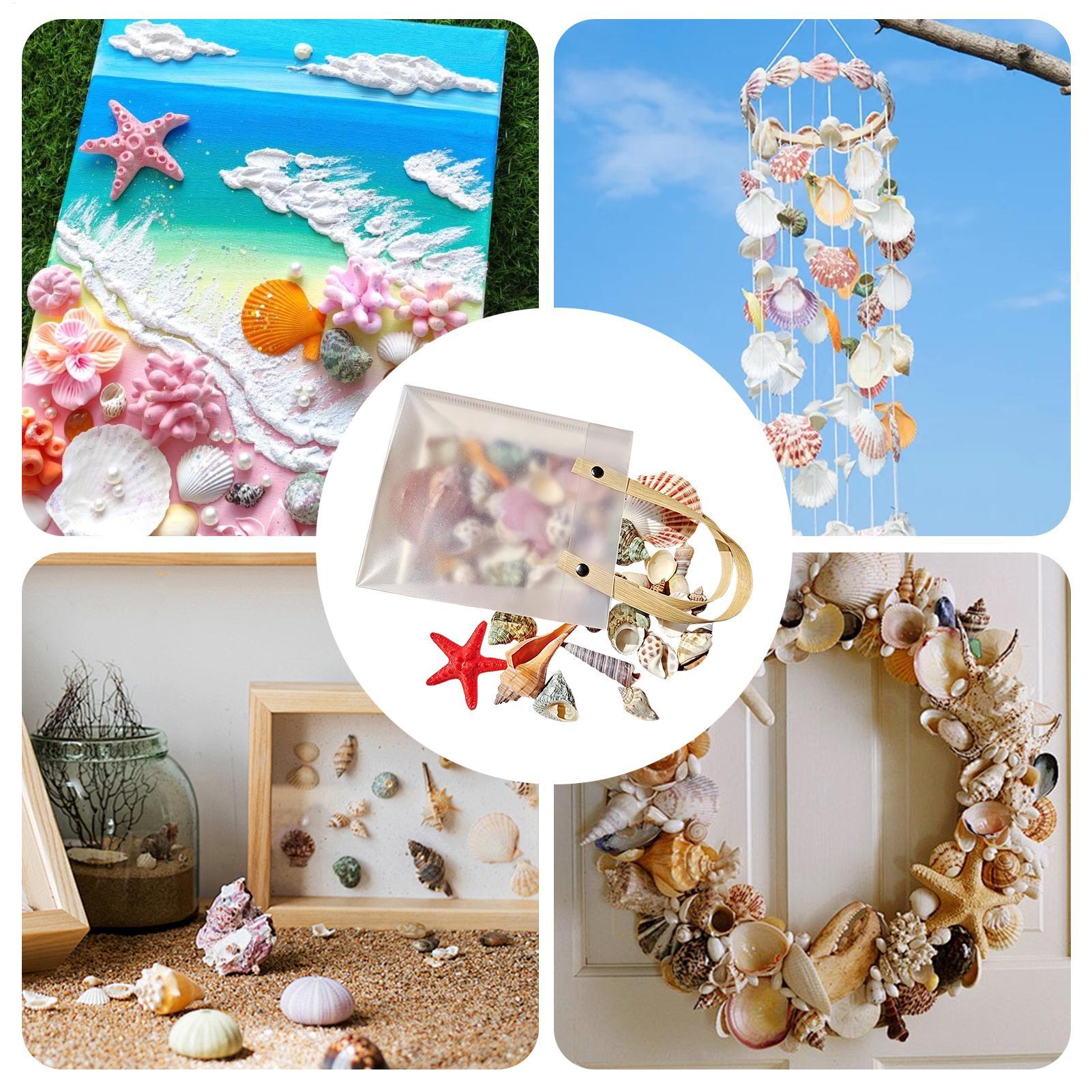 Tiny Seashells For Crafts Natu - огляд і ціна Candle Making For Beginners