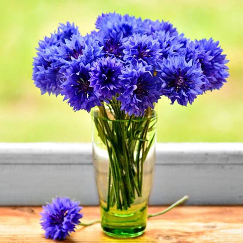 Fragrant Natural Cornflower Dr - огляд і ціна Candle Making And Perfume