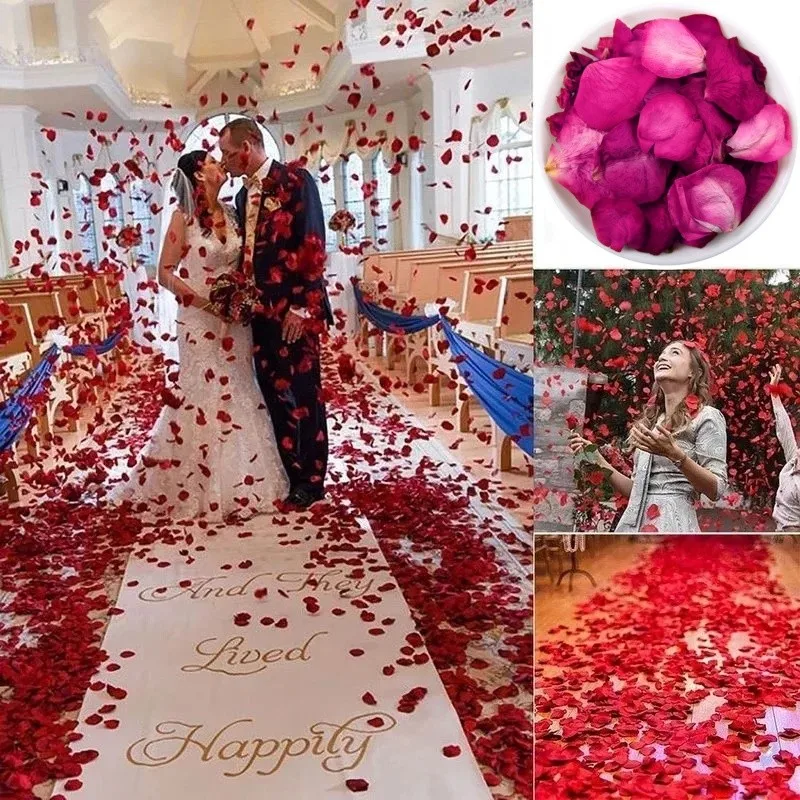 Natural Dried Rose Petals for  - огляд і ціна Candle Making And Perfume